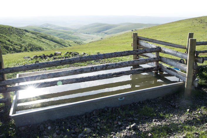 RDF Water Trough Built to Last